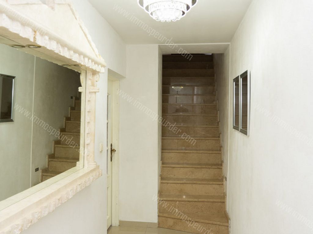 Appartement in Dilsen-Stokkem - 351792 - Haagstraat 8, 3650 Dilsen-Stokkem