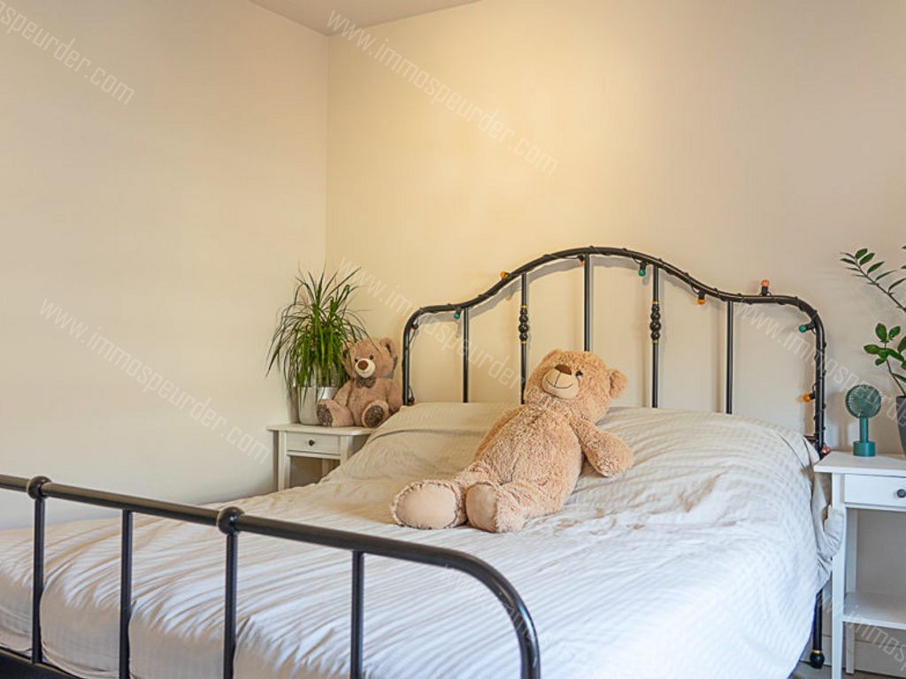 Huis in Dilsen-Stokkem - 687758 - Haagstraat 36-1-1, 3650 Dilsen-Stokkem