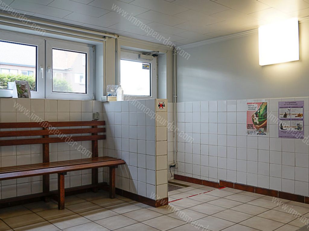 Garage in Dilsen-Stokkem - 952196 - Rijksweg 391, 3650 Dilsen-Stokkem