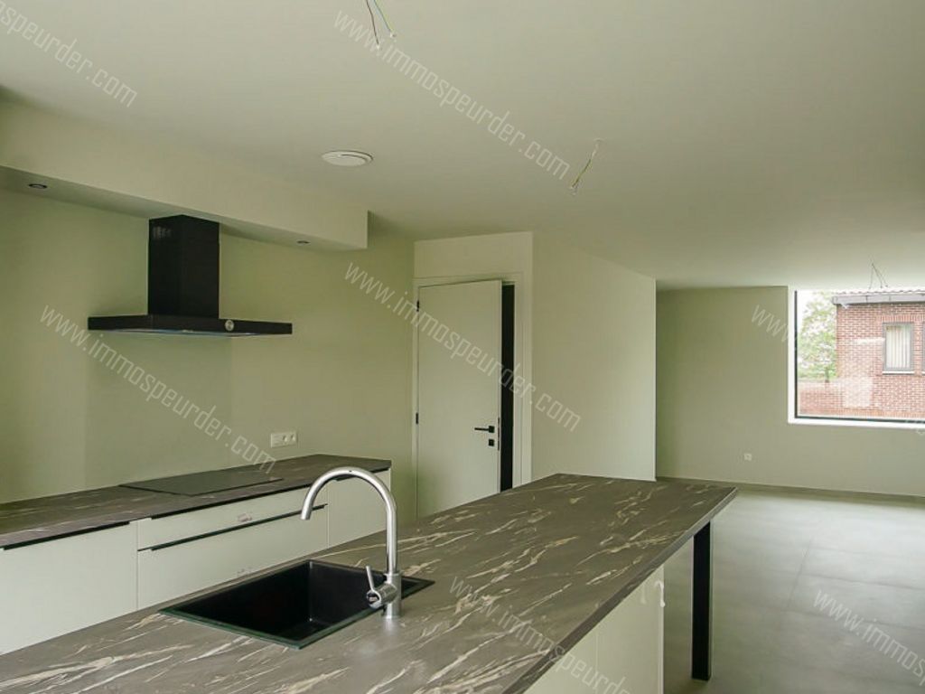 Huis in Dilsen-Stokkem - 992861 - Oude-Kerkstraat 31-A-0101-A, 3650 Dilsen-Stokkem