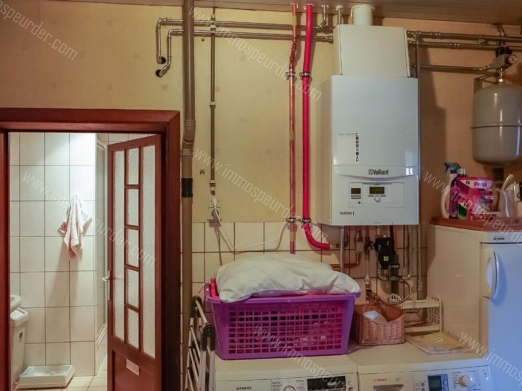 Appartement in Dilsen-Stokkem - 127820 - Haagstraat 36, 3650 Dilsen-Stokkem