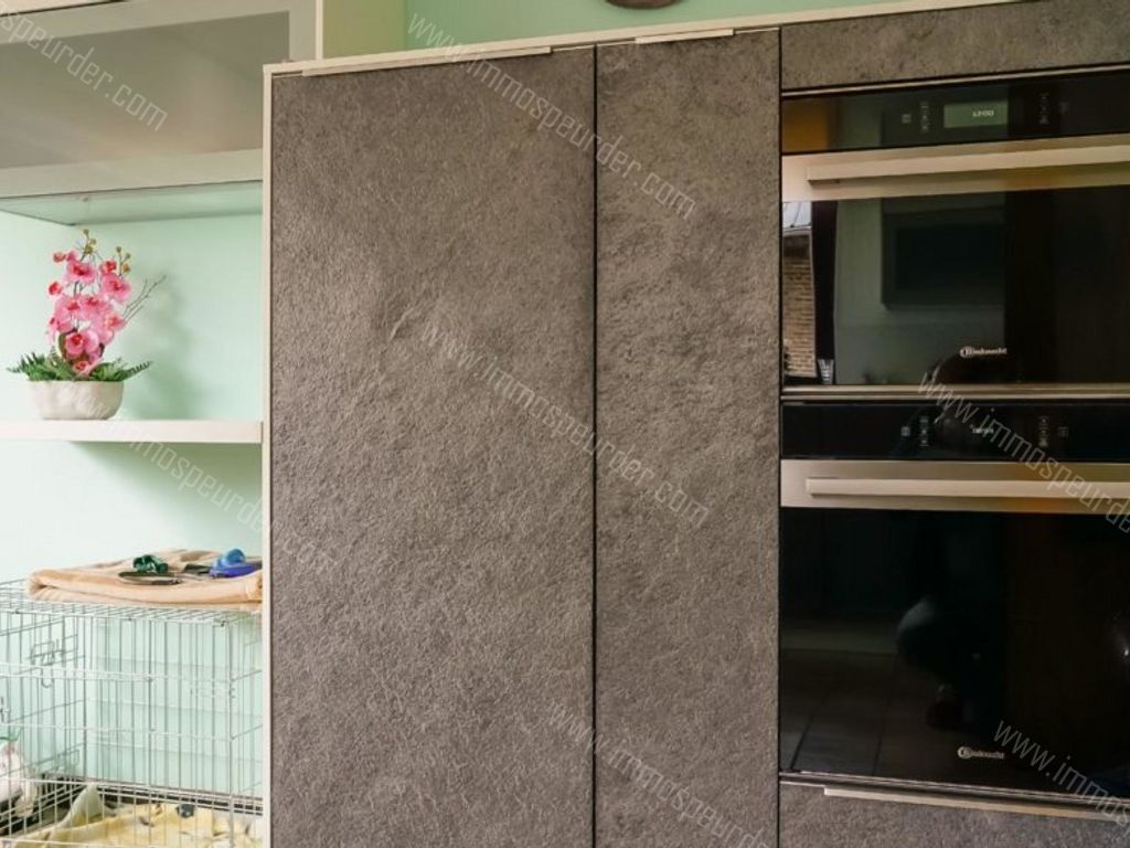 Appartement in Dilsen-Stokkem - 127820 - Haagstraat 36, 3650 Dilsen-Stokkem