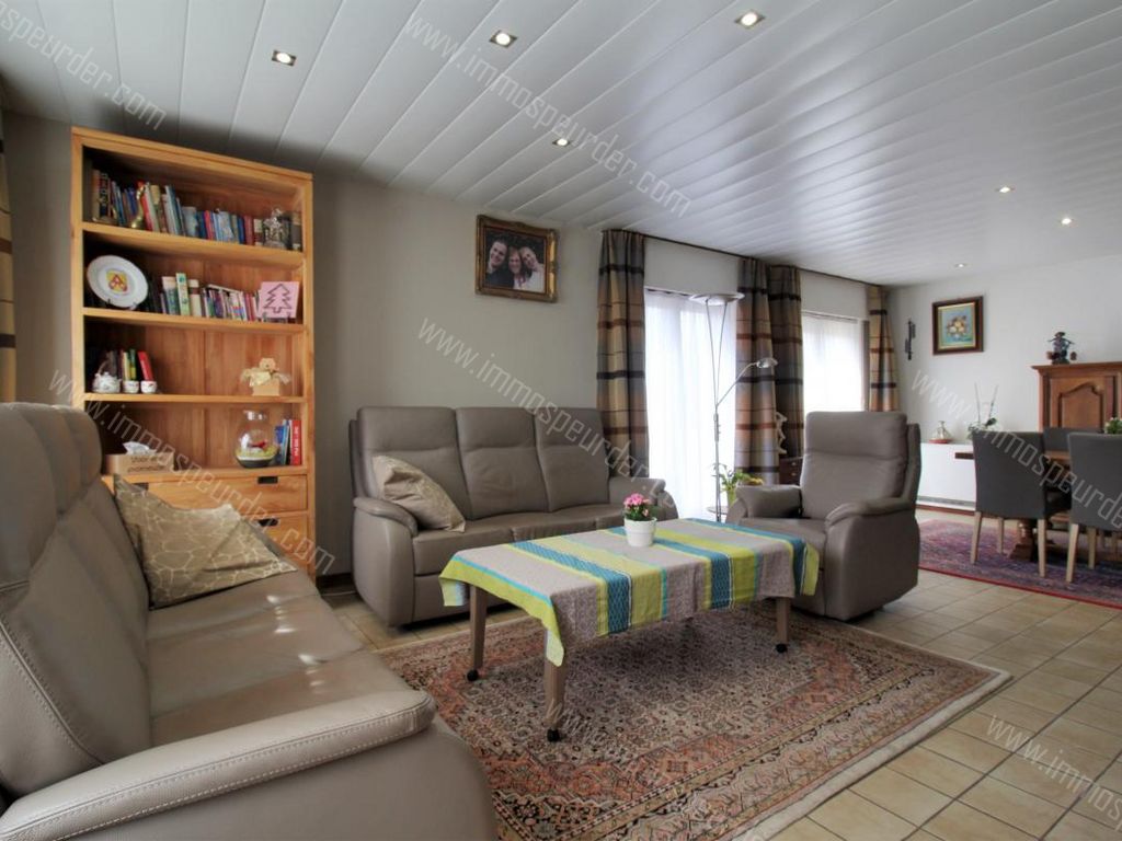 Villa in Loppem - 998063 - Dopheidelaan 36, 8210 Loppem