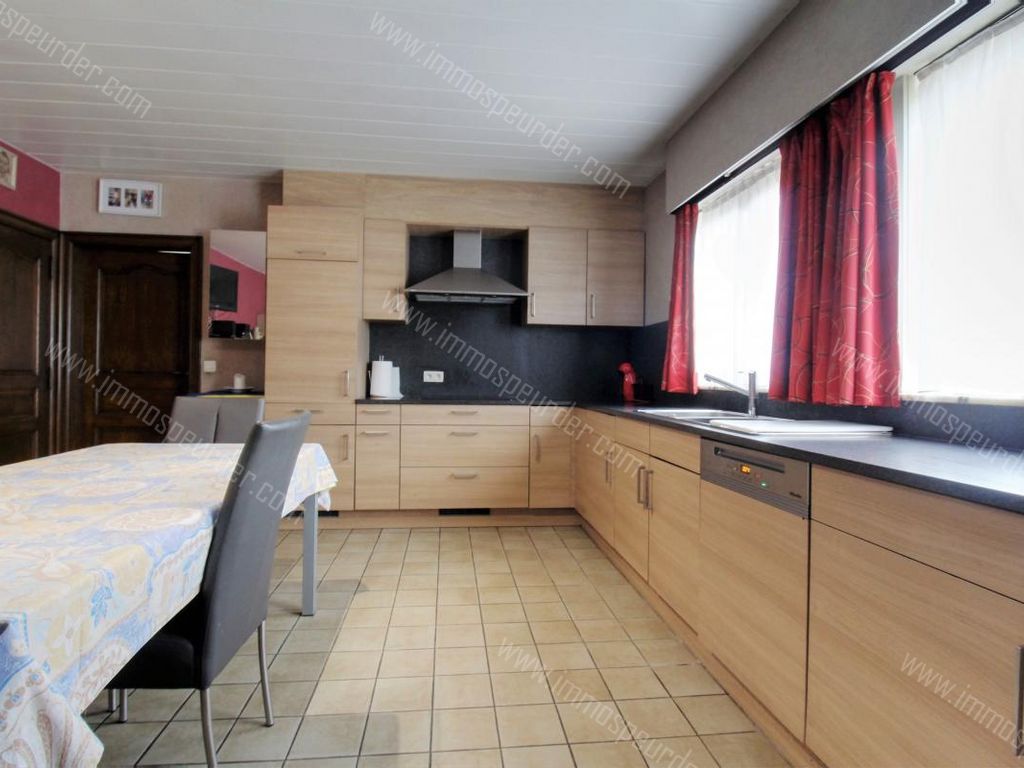 Villa in Loppem - 1017756 - Dopheidelaan 36, 8210 Loppem