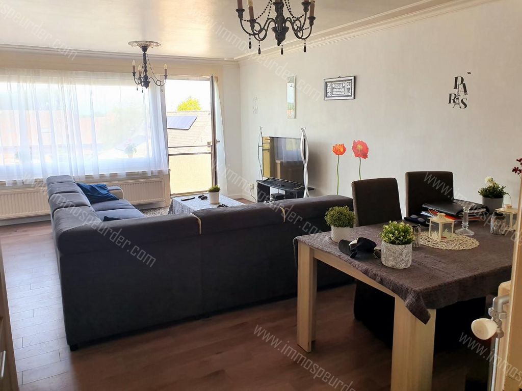 Appartement Te Koop Sint-Kruis