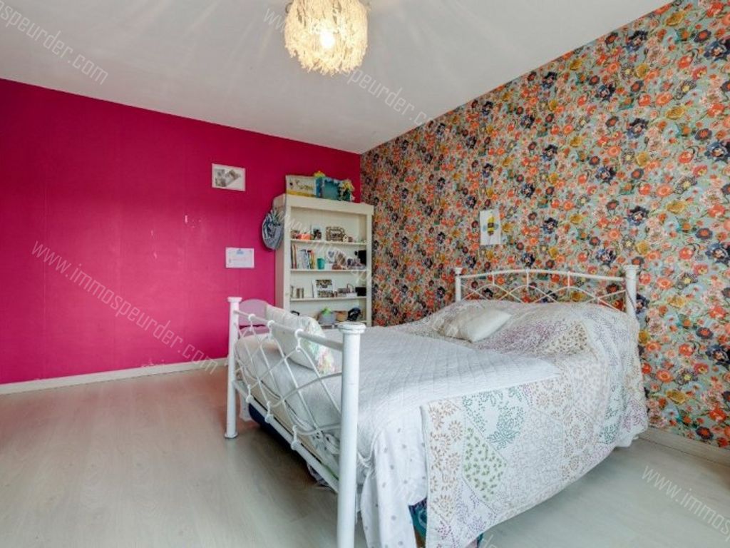 Appartement in Burcht - 1043521 - Heirbaan 157-01-02, 2070 Burcht