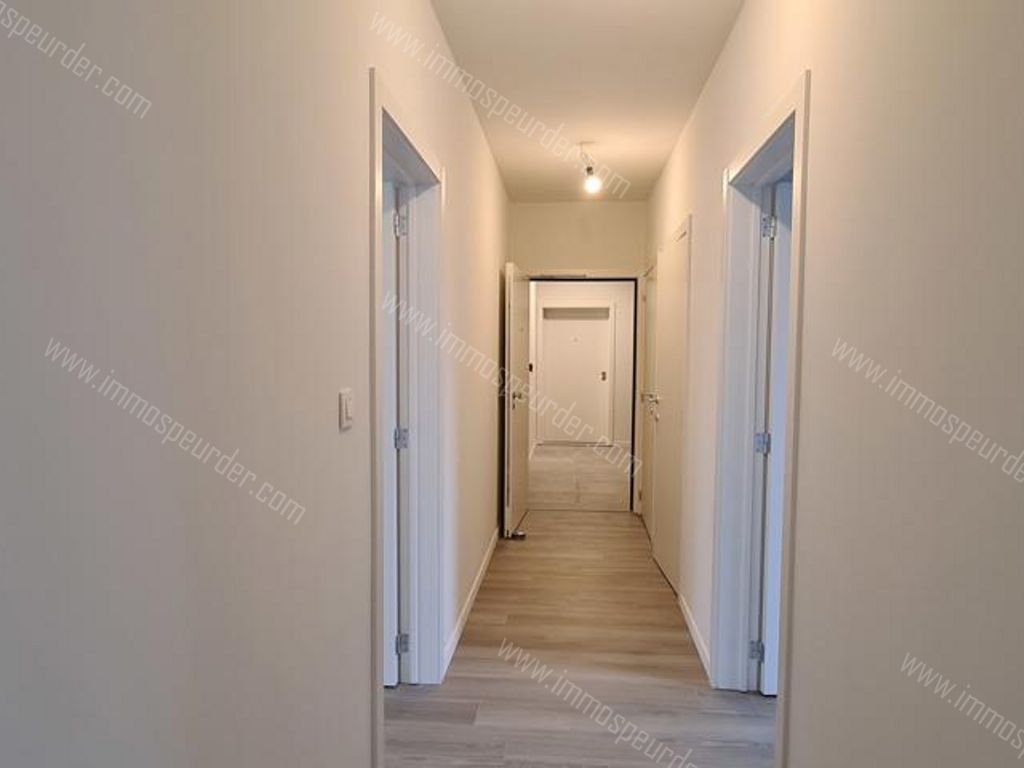 Appartement in Dilbeek - 989634 - Rozenlaan 7, 1700 Dilbeek