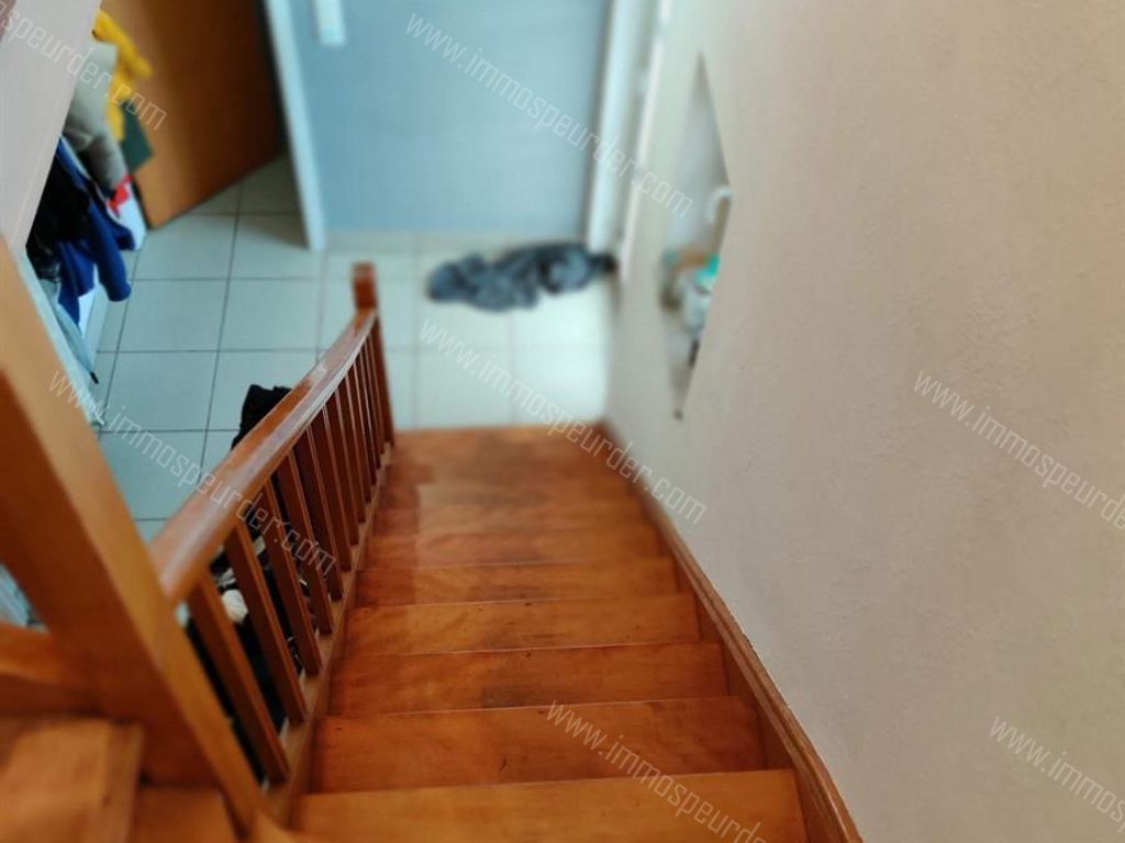 Huis in Dilbeek - 520543 - Kievitenlaan 24, 1700 Dilbeek