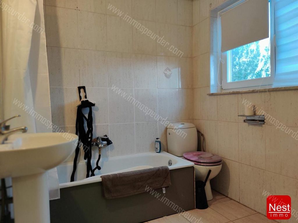 Huis in Dilbeek - 520543 - Kievitenlaan 24, 1700 Dilbeek