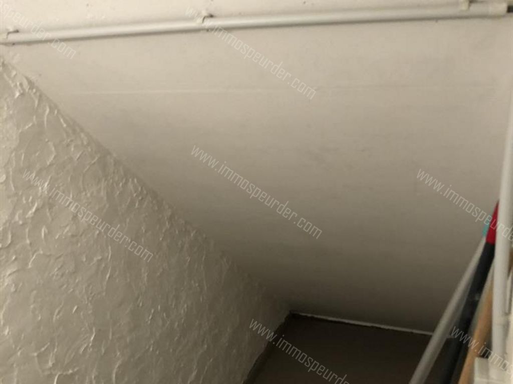 Villa in Petit-Rechain - 581057 - Rue Nicolas Arnold 7A, 4800 Petit-Rechain