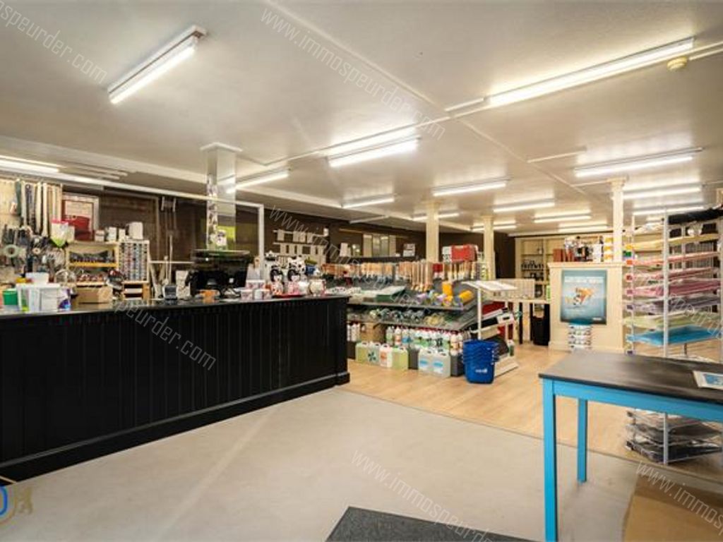 Huis in Zedelgem - 615422 - Ruddervoordsestraat 87, 8210 Zedelgem