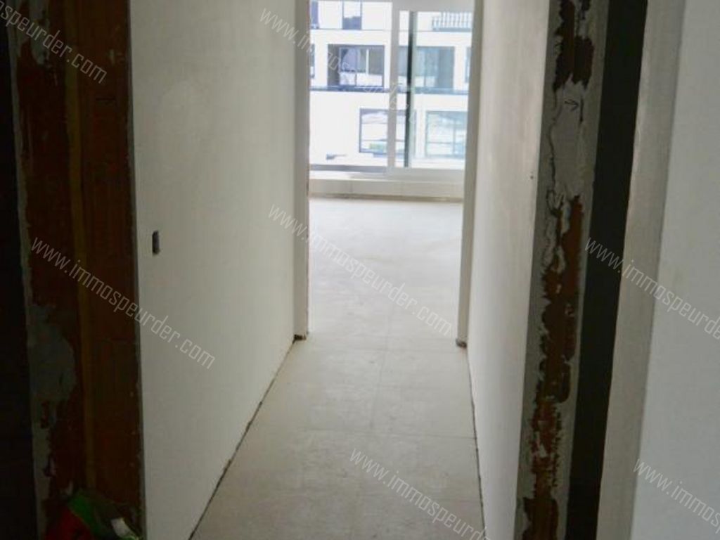 Appartement in Zoersel - 566929 - Handelslei 78, 2980 Zoersel