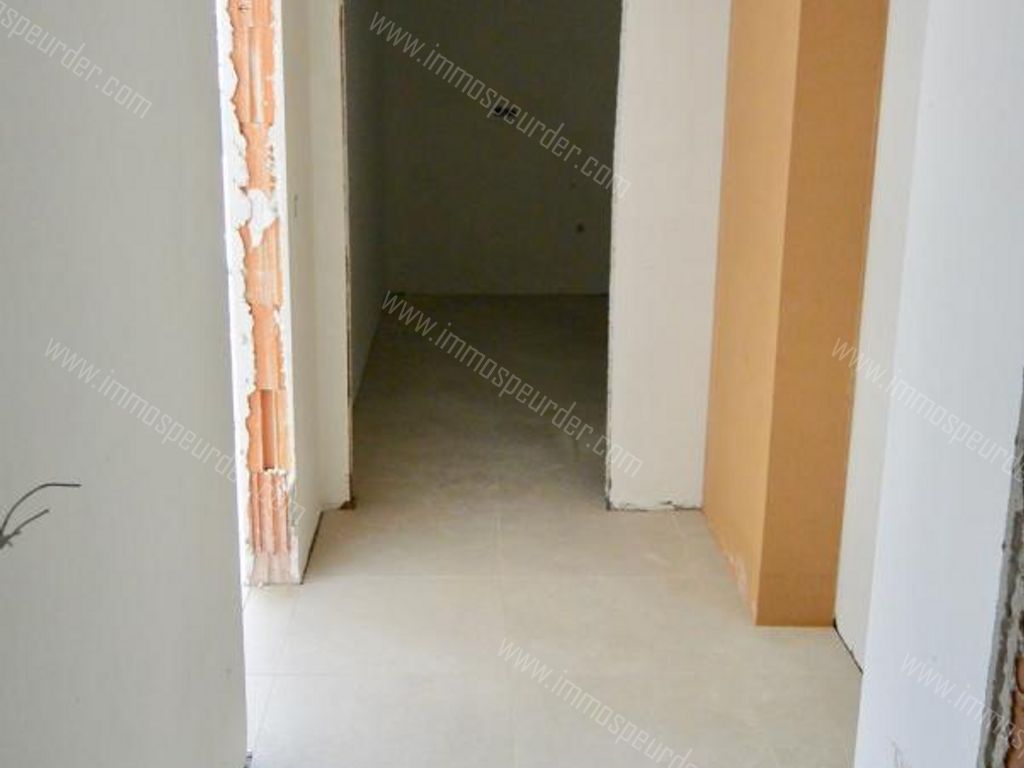 Appartement in Zoersel - 566931 - Handelslei 78, 2980 Zoersel