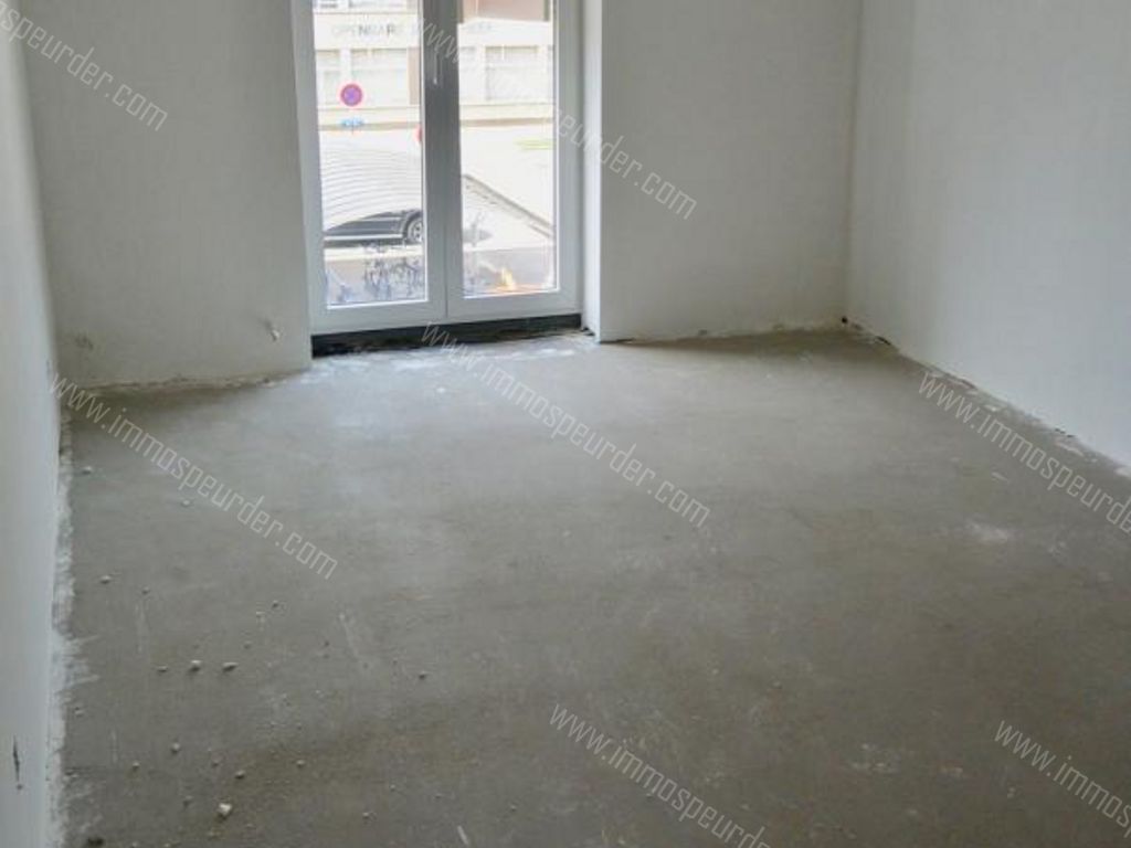 Appartement in Zoersel - 566931 - Handelslei 78, 2980 Zoersel