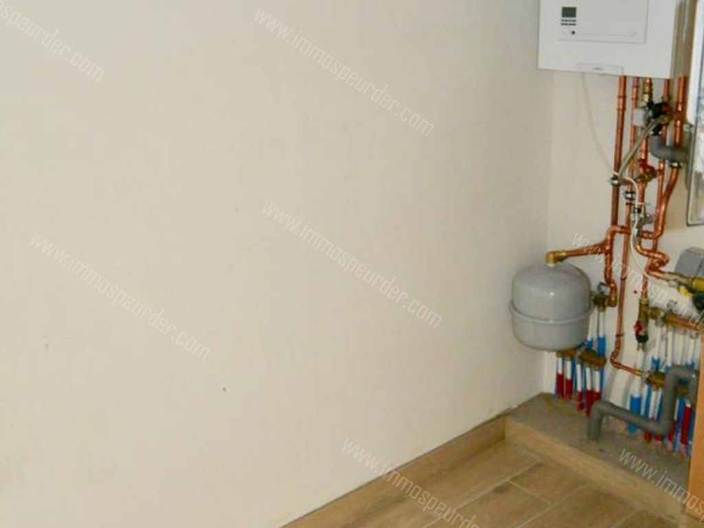 Appartement in Zoersel - 635196 - Handelslei 78, 2980 Zoersel