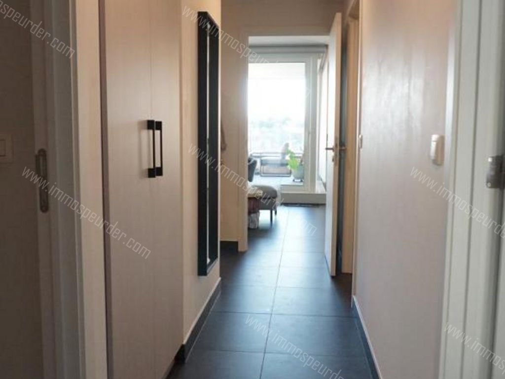Appartement in Heverlee - 950008 - Leeuwerikenstraat 31-0304, 3001 Heverlee
