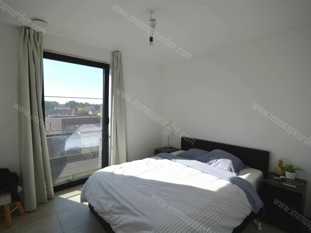 Huis in Heers - 968785 - Burgemeesterstraat 3-0202, 3870 HEERS