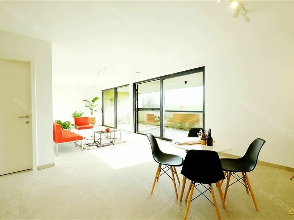 Huis in Heers - 972879 - Burgemeesterstraat 3-0006, 3870 HEERS
