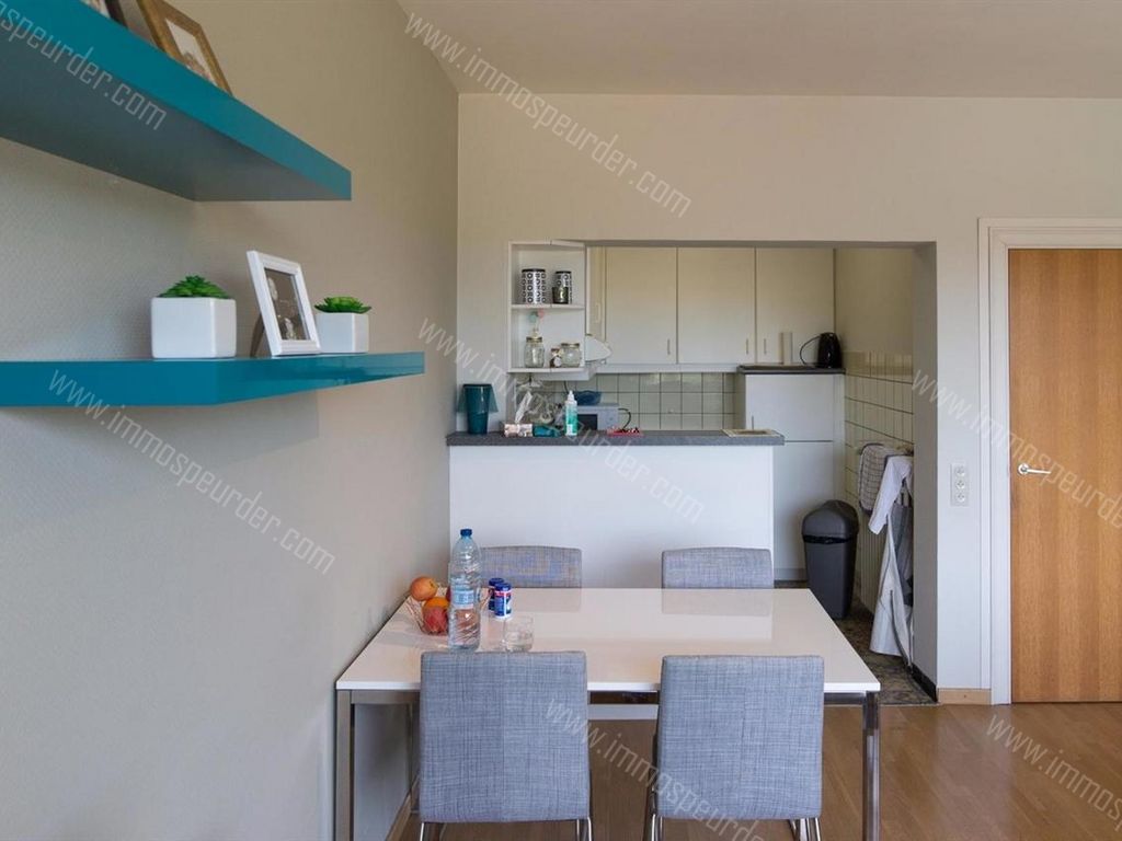 Huis in Heverlee - 1024724 - Tervuursesteenweg 52-B0201, 3001 Heverlee