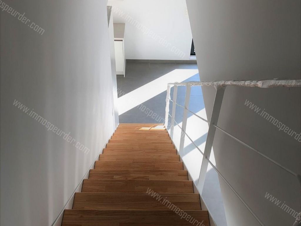 Huis in Leuven - 523517 - Leeuwerikkenstraat 50-C, 3001 Leuven