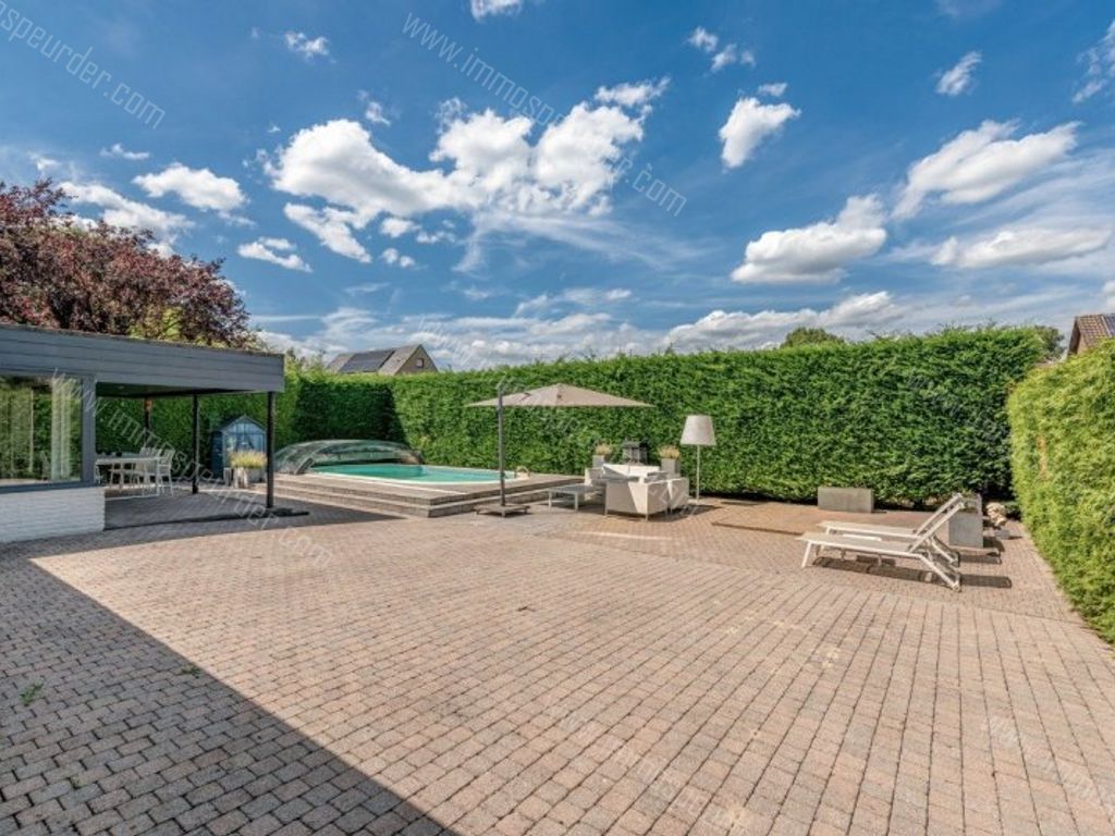 Huis in Zoersel - 991334 - Rodenbachlaan 24, 2980 Zoersel