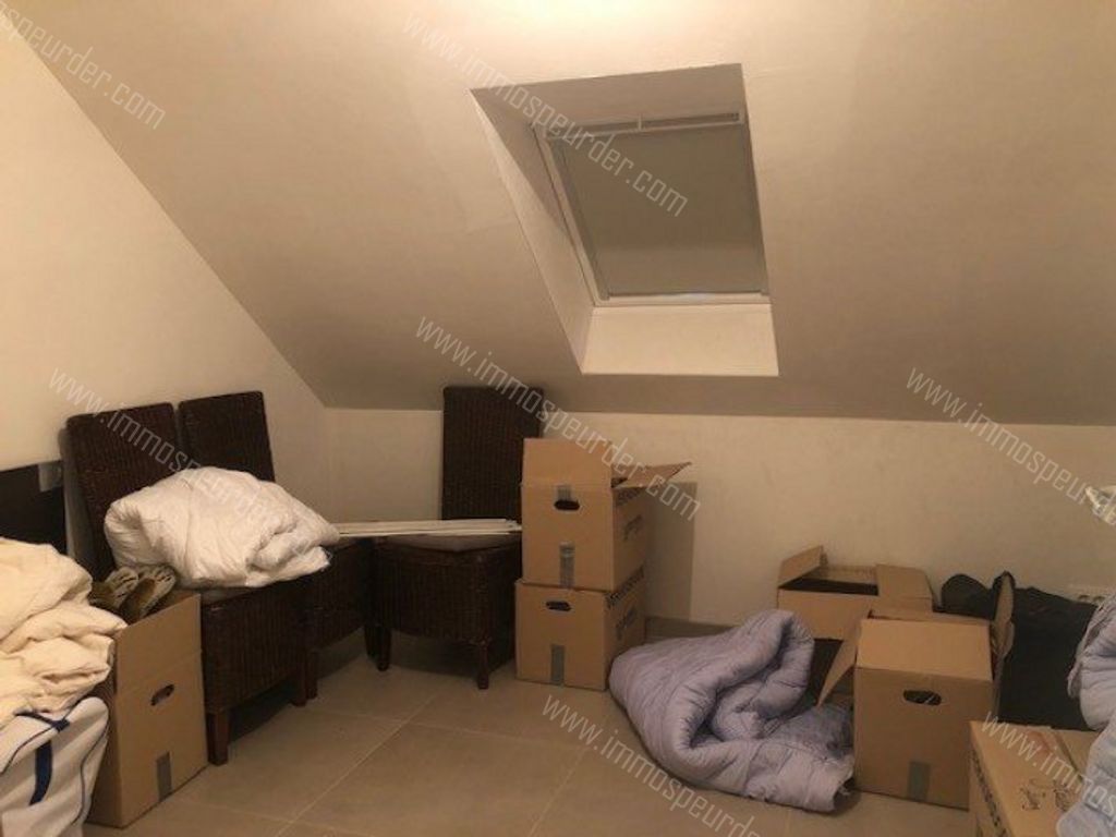 Huis in Passendale - 573822 - Kraaiveldstraat 2-A, 8980 Passendale