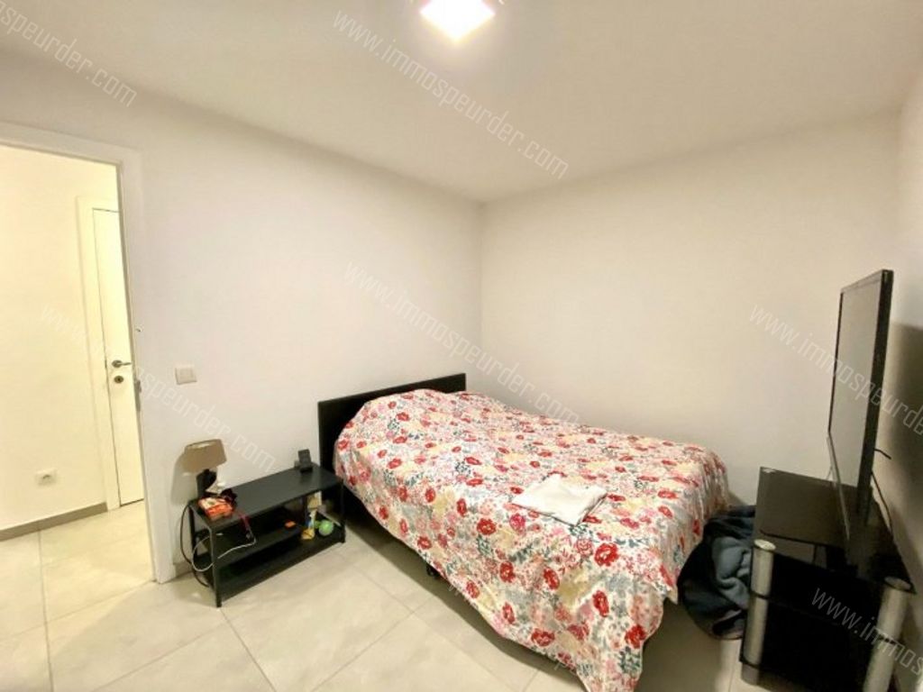 Appartement in Menen - 955914 - Julius en Maurits Sabbestraat 1-303, 8930 Menen