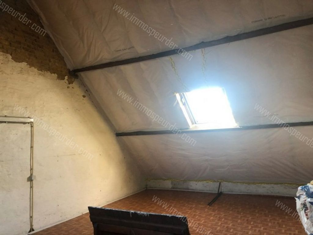 Huis in Menen - 968807 - Lageweg 2, 8930 Menen