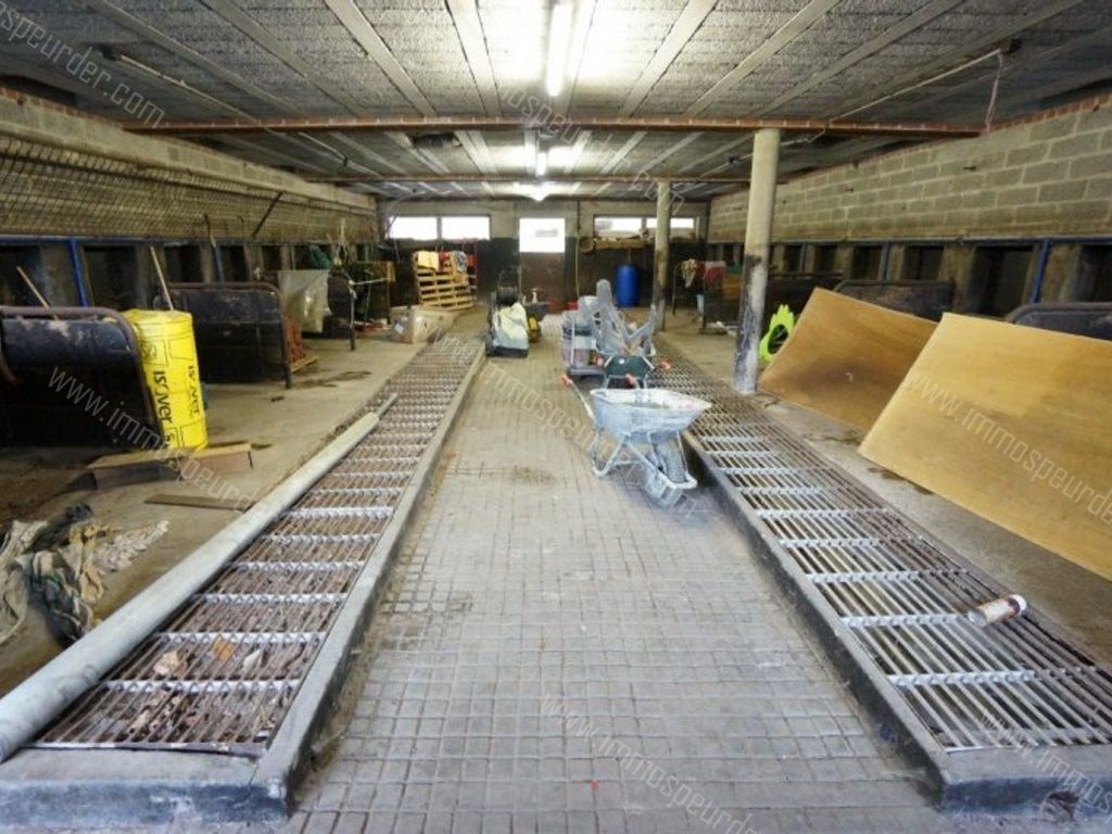 Grond in Passendale - 969650 - Zuidstraat 11-A, 8980 Passendale