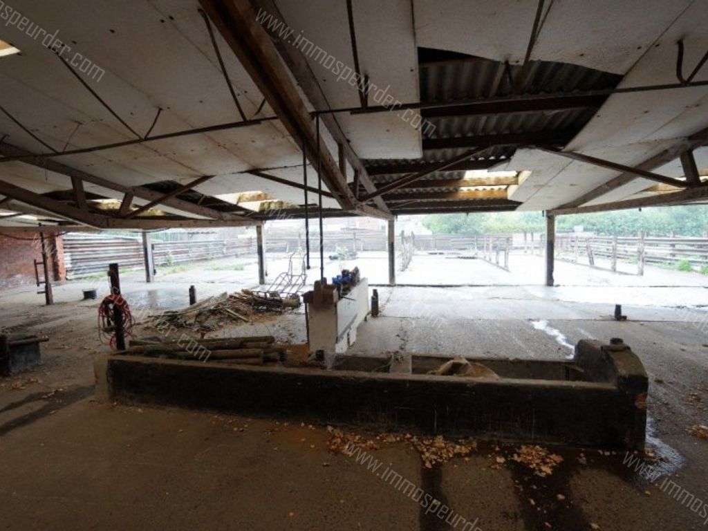 Grond in Passendale - 969650 - Zuidstraat 11-A, 8980 Passendale