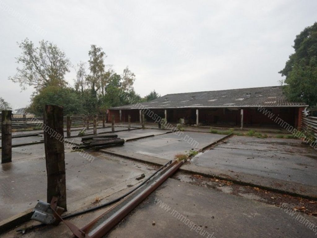 Grond in Passendale - 969650 - Zuidstraat 11-A, 8980 Passendale