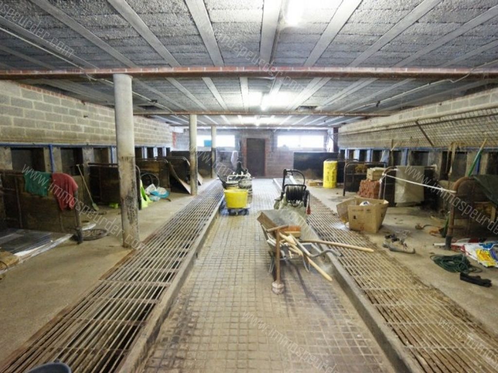 Grond in Passendale - 969650 - Zuidstraat 11-A, 8980 Passendale