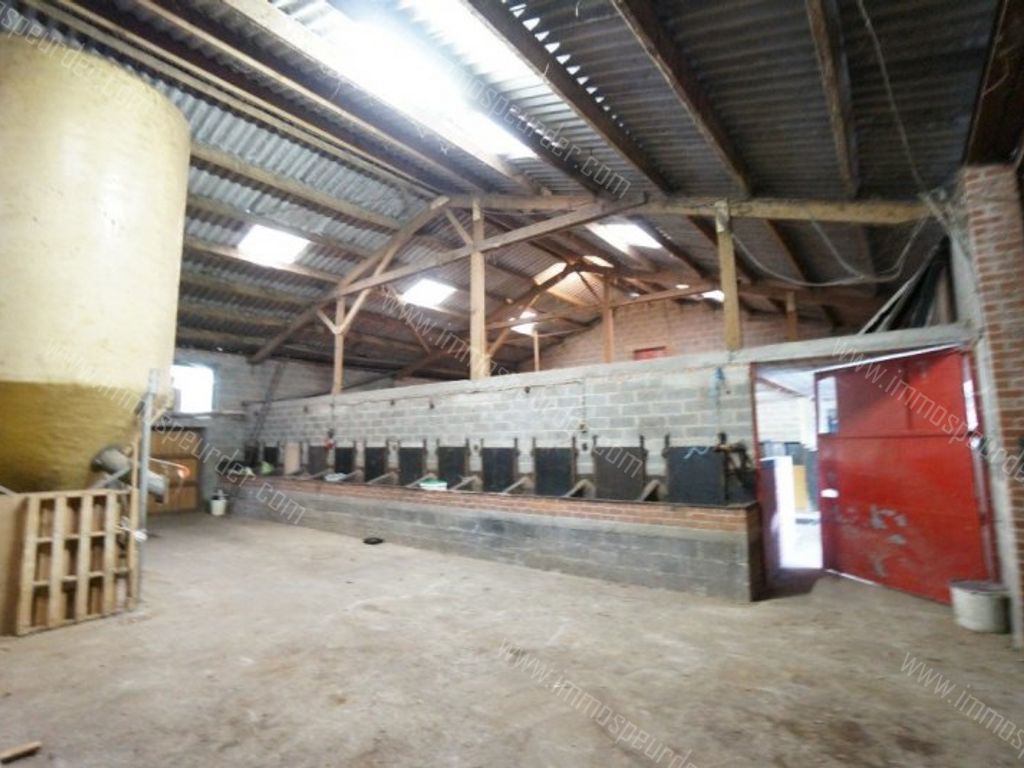 Grond in Passendale - 969650 - Zuidstraat 11-A, 8980 Passendale