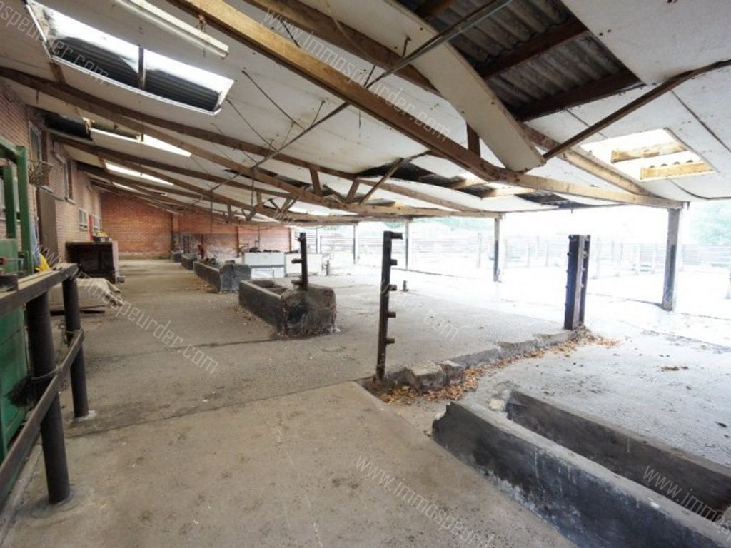 Grond in Passendale - 969650 - Zuidstraat 11-A, 8980 Passendale