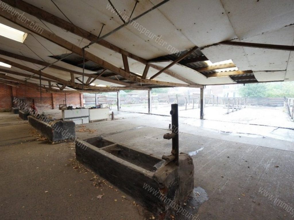 Grond in Passendale - 969650 - Zuidstraat 11-A, 8980 Passendale