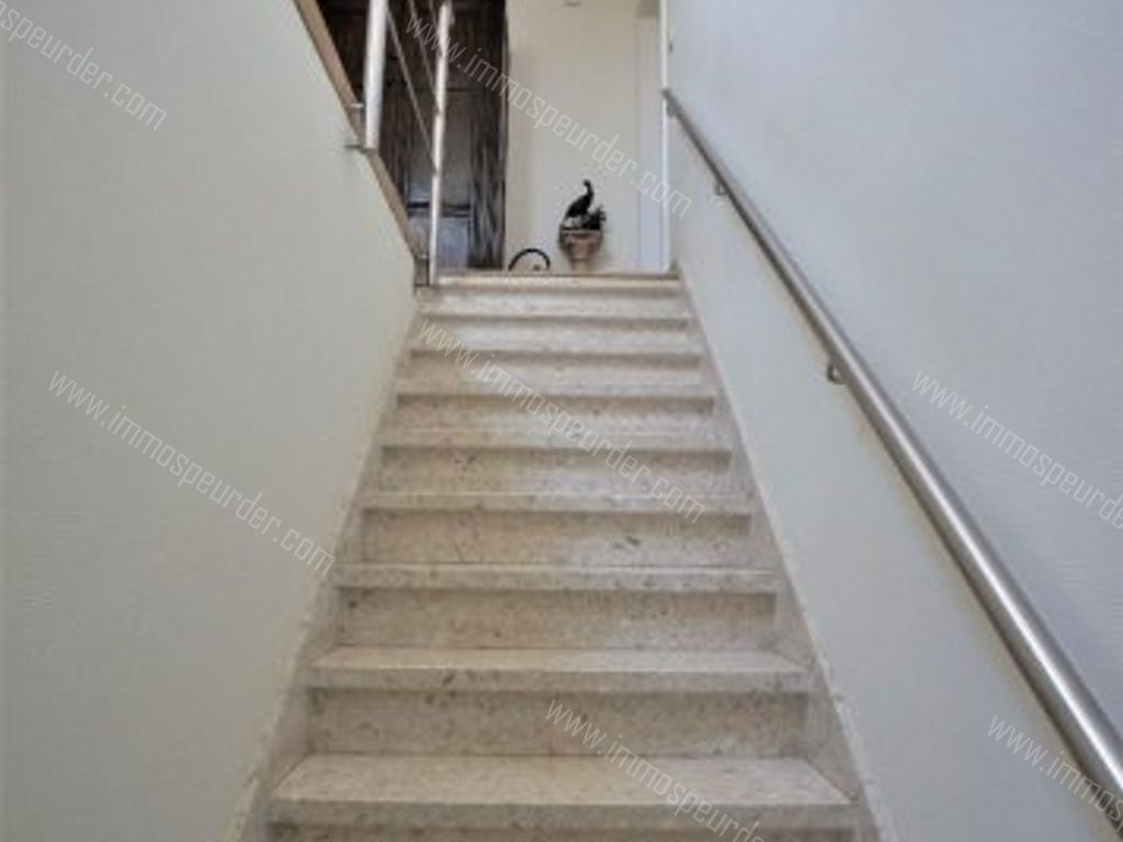 Villa in Zonnebeke - 972498 - Zandvoordeplaats 7, 8980 Zonnebeke