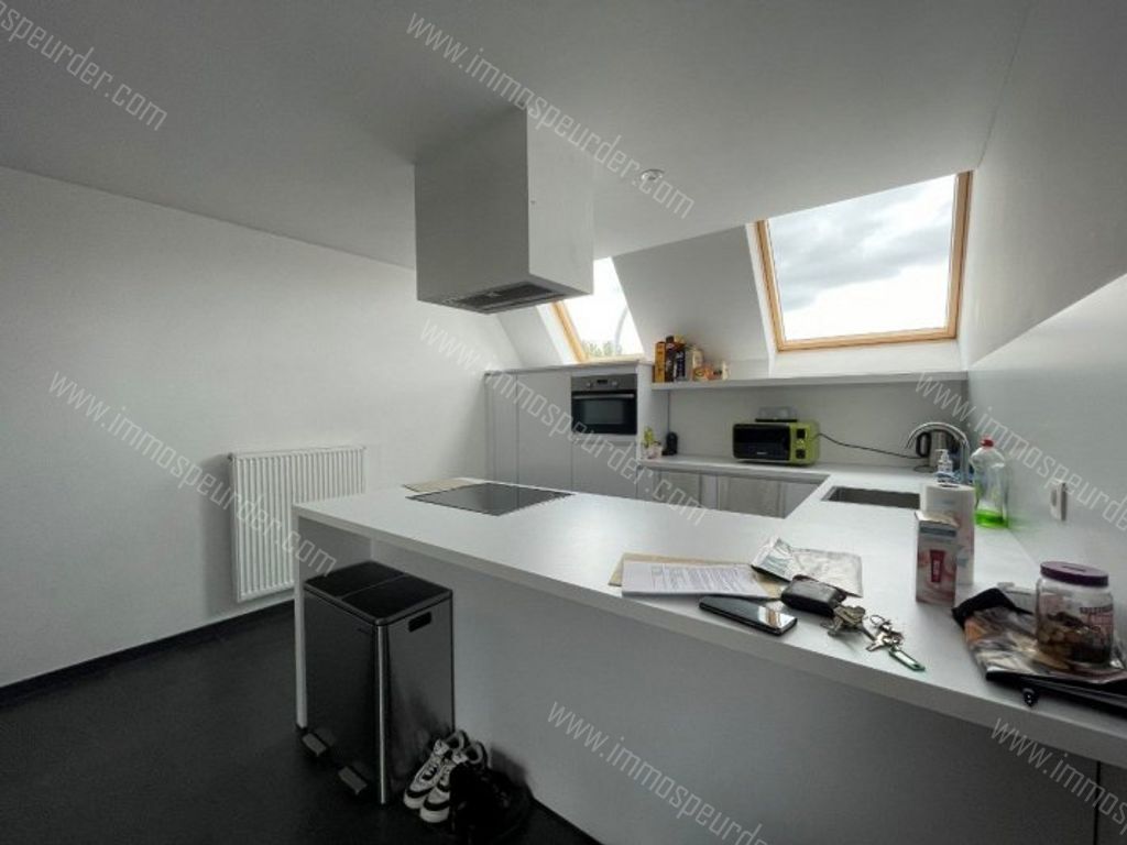 Appartement in Rekkem - 991917 - Moeskroenstraat 463-0201, 8930 Rekkem