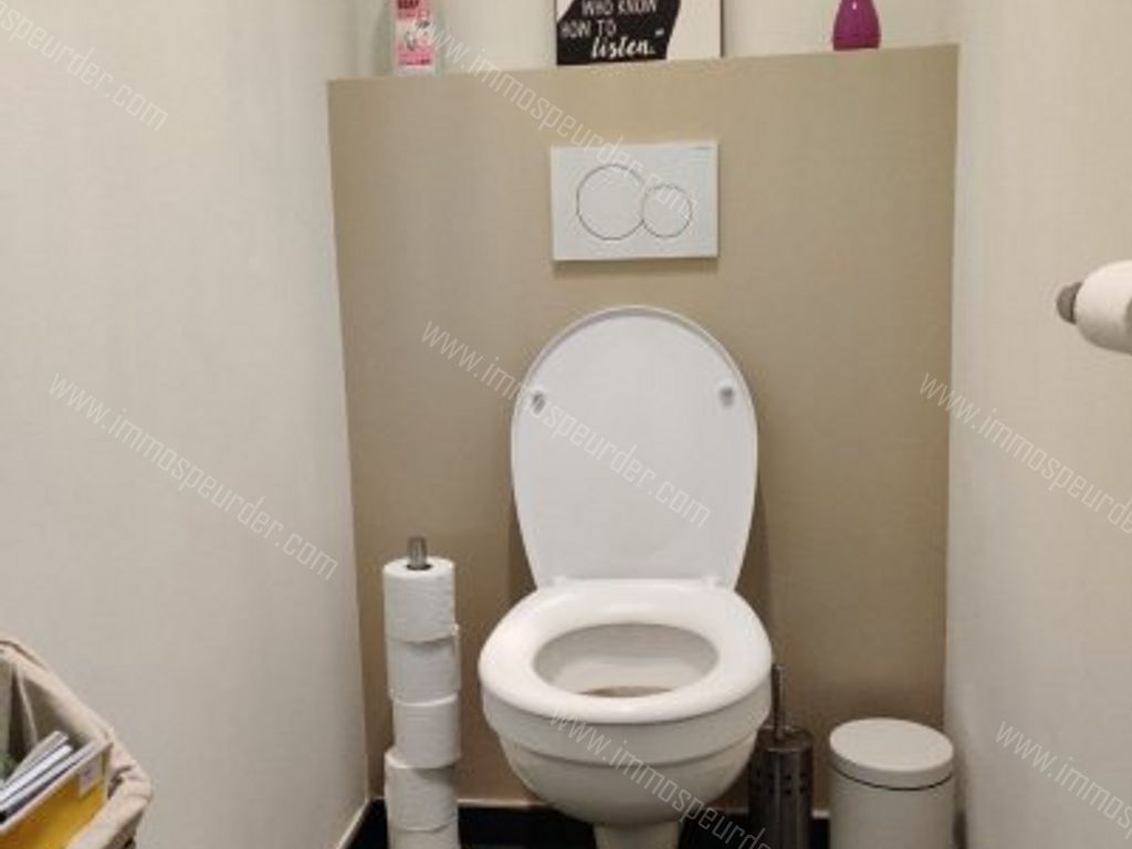 Appartement in Rekkem - 991925 - moeskroenstraat 463-0101, 8930 Rekkem