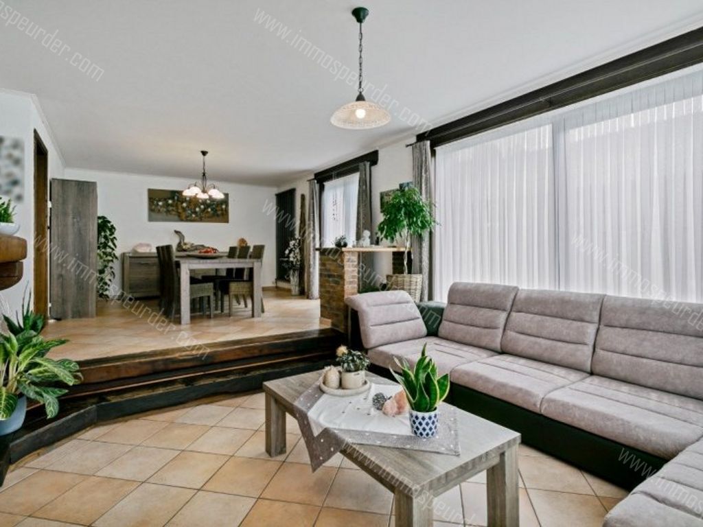Villa in Dilsen-Stokkem - 598183 - Kruisvenlaan 53, 3650 Dilsen-Stokkem