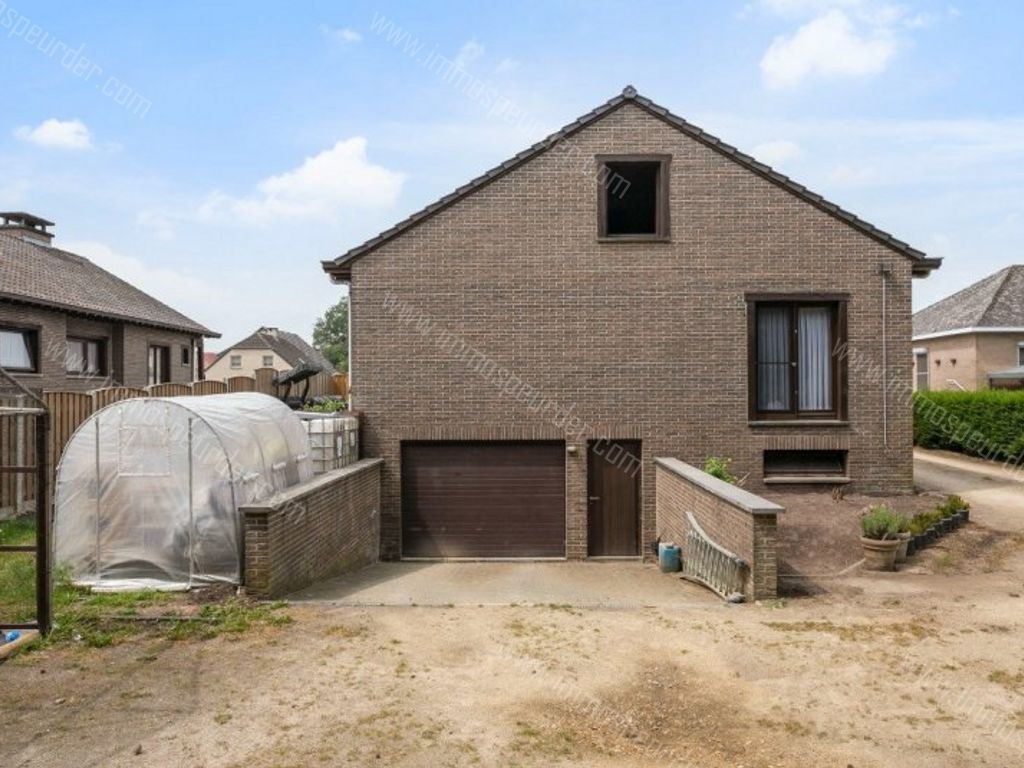 Villa in Dilsen-Stokkem - 598183 - Kruisvenlaan 53, 3650 Dilsen-Stokkem