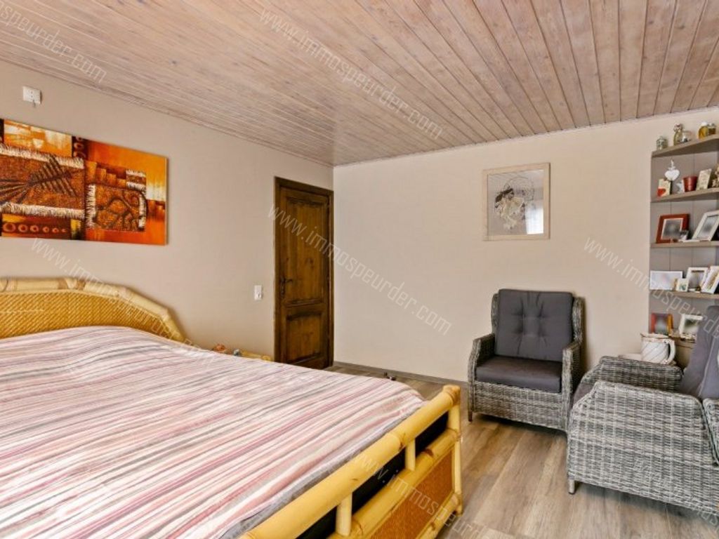 Villa in Dilsen-Stokkem - 598183 - Kruisvenlaan 53, 3650 Dilsen-Stokkem