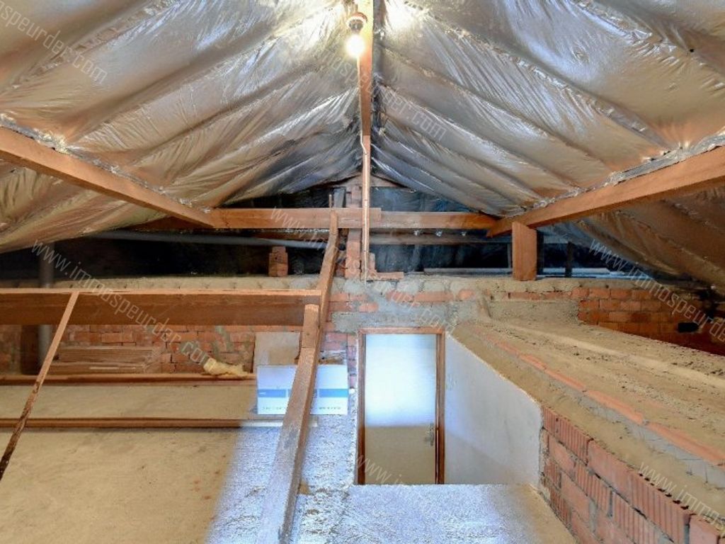 Huis in Langdorp - 961871 - Langdorpsesteenweg 274, 3201 Langdorp