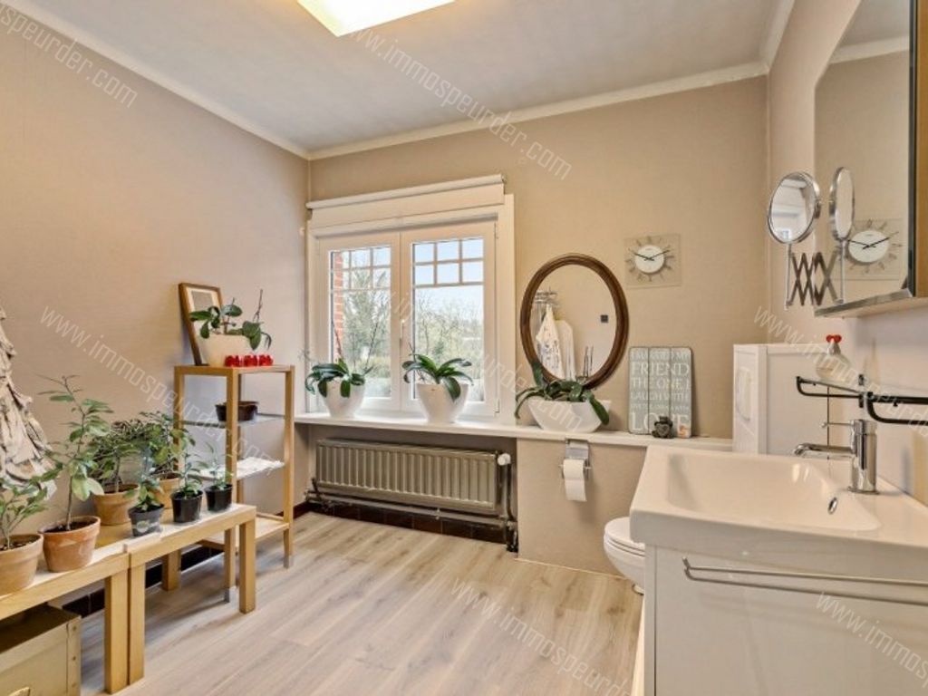 Huis in Herselt - 562444 - Westerlosesteenweg 157, 2230 Herselt