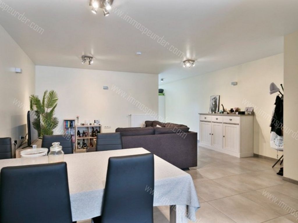 Appartement in Itegem - 572520 - Hallaarstraat 14-1, 2222 Itegem