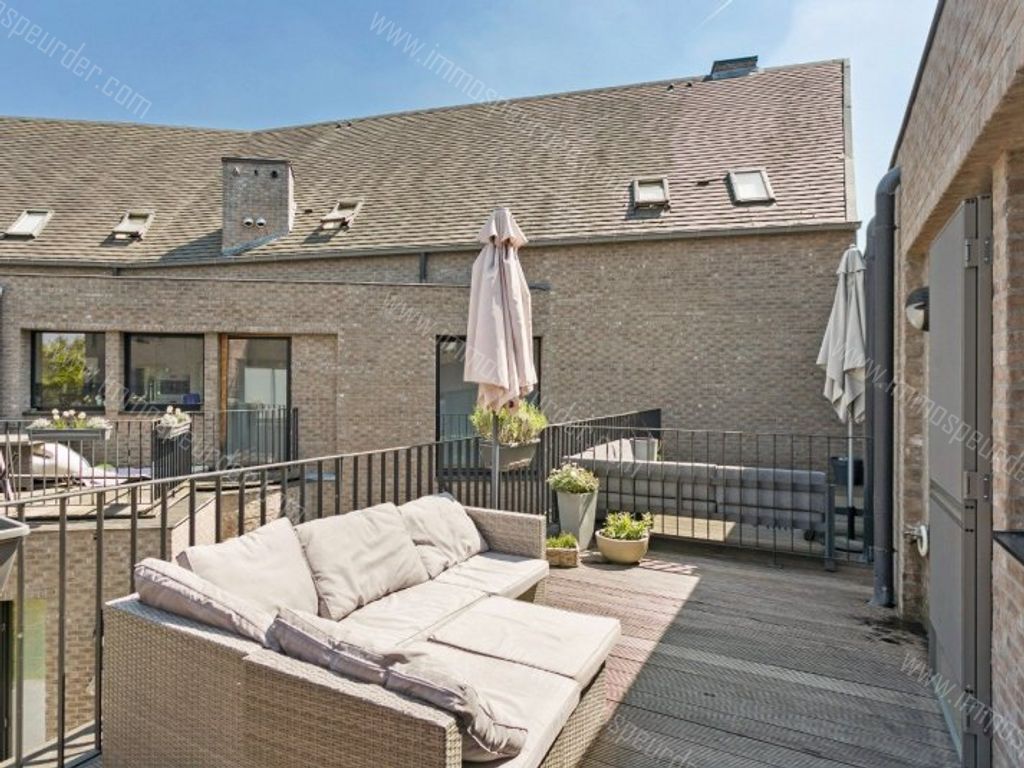 Appartement in Herselt - 581419 - Herentalsesteenweg 1-01, 2230 Herselt