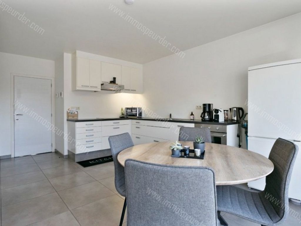Appartement in Itegem - 572692 - Hallaarstraat 14-2, 2222 Itegem