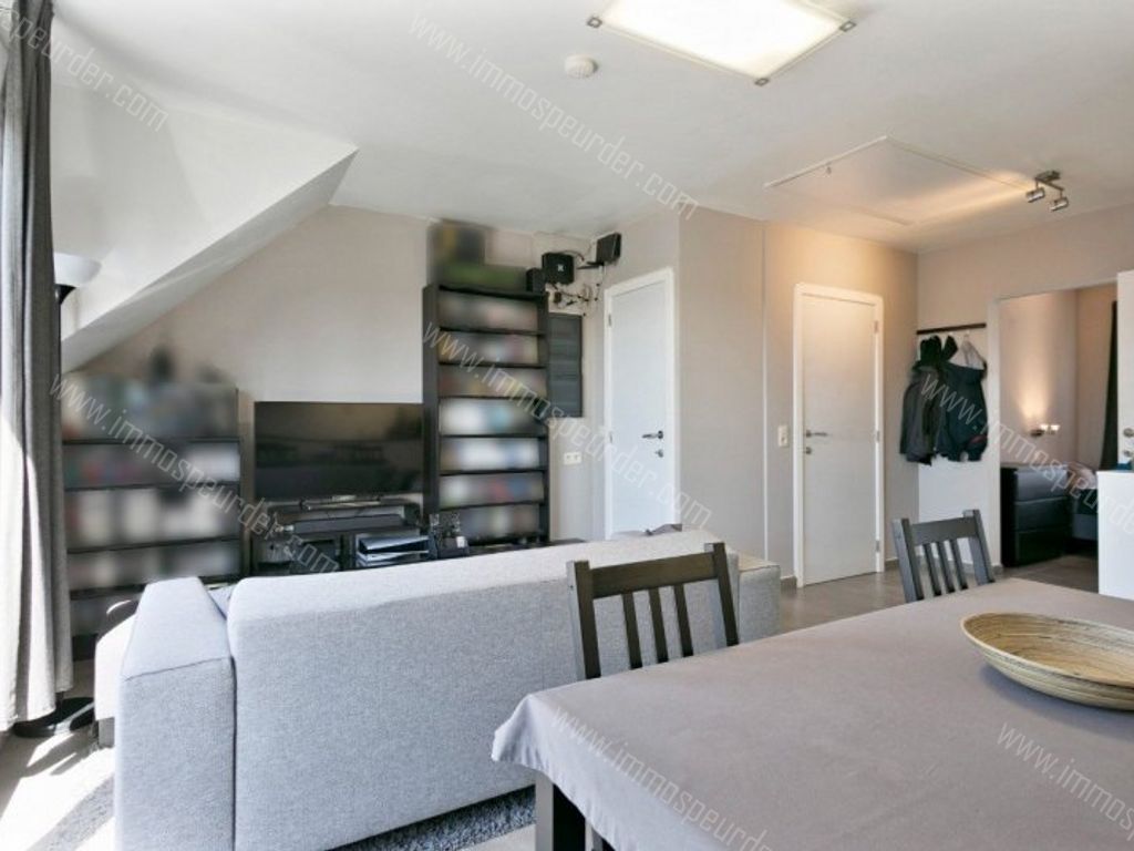 Appartement in Itegem - 572707 - Hallaarstraat 14-3, 2222 Itegem