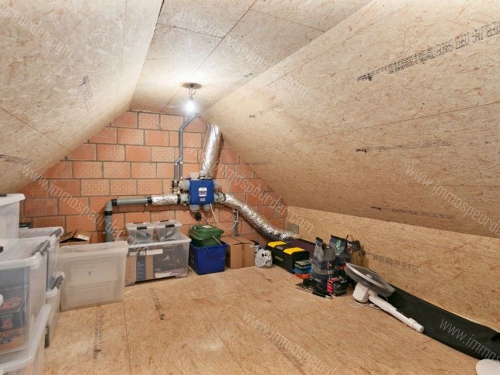 Appartement in Itegem - 572707 - Hallaarstraat 14-3, 2222 Itegem