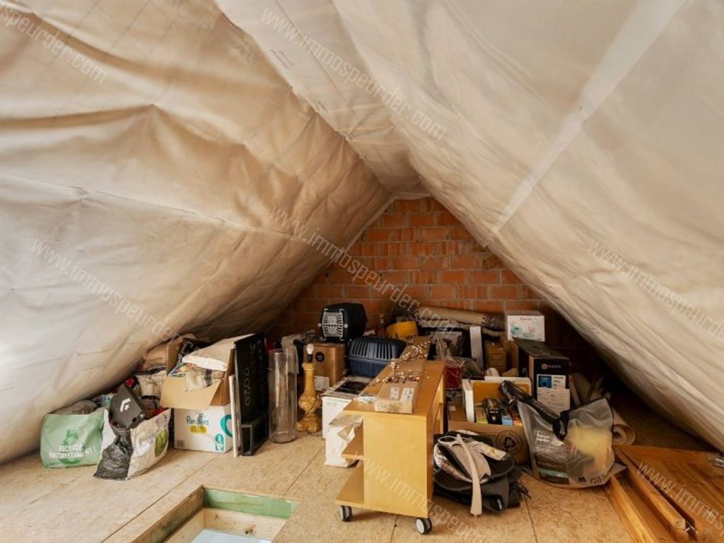 Appartement in Herselt - 581498 - Herentalsesteenweg 1-01, 2230 Herselt