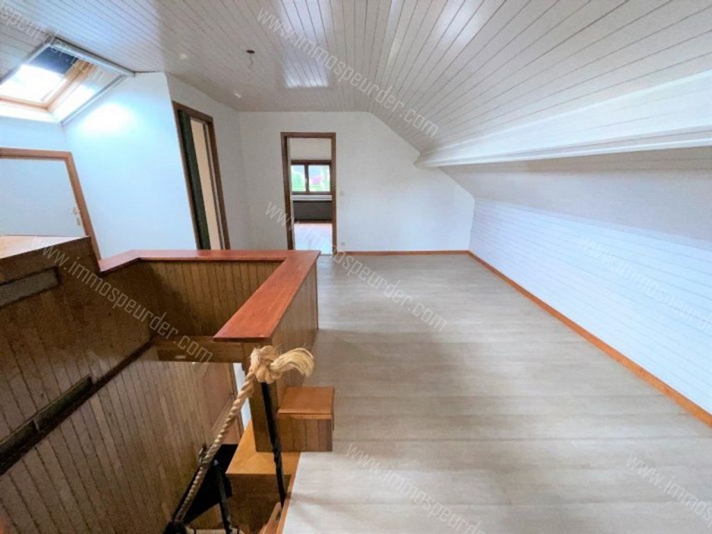 Huis in Zoersel - 607258 - Sniederspad 24, 2980 Zoersel